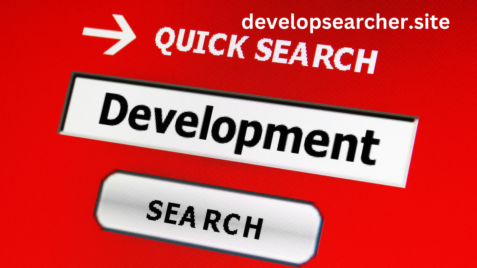 developsearcher.site