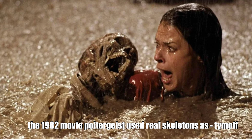 the 1982 movie poltergeist used real skeletons as - tymoff